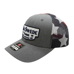 Big Swede Logo Hat