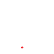 Arm & Gun