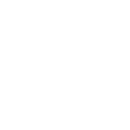 Bama Bass
