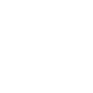 Brick Science