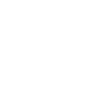World War Wisdom